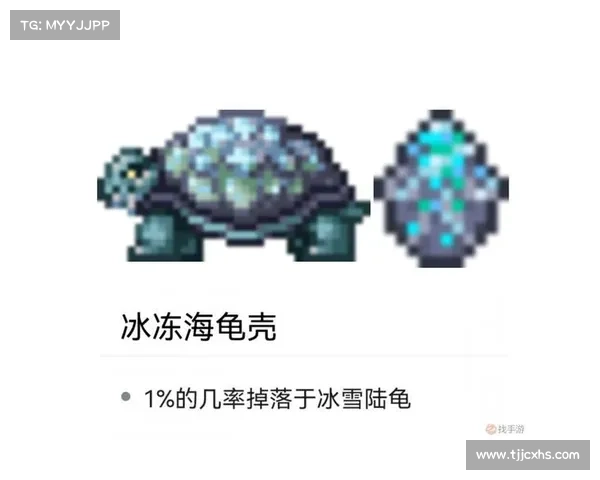 梦幻西游彩虹争霸赛高胜率技巧分享提升策略和实战经验解析 梦幻西游彩虹争霸赛高胜率技巧分享提升策略和实战经验解析