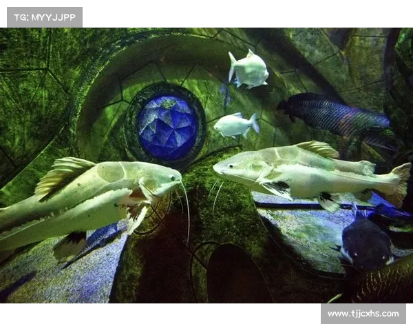 古老世界神秘生物探寻指南揭开失落文明中的奇异生灵之谜 古老世界神秘生物探寻指南揭开失落文明中的奇异生灵之谜