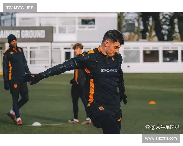 揭开英冠联赛的假象与真相 透视其背后的竞争与挑战