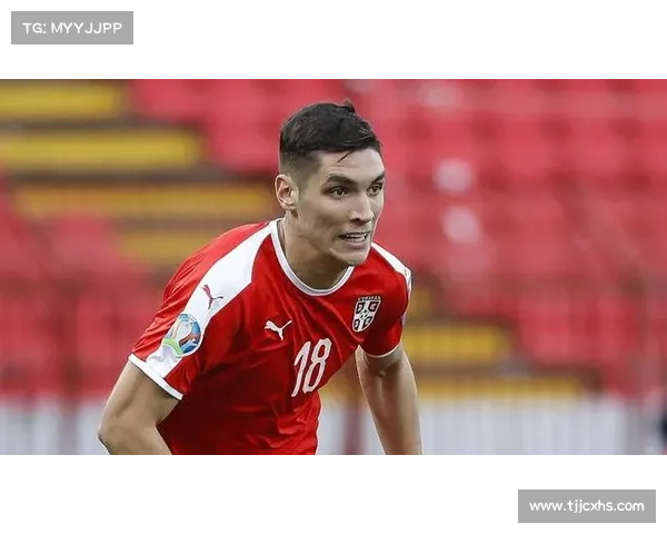 弗拉霍维奇：塞尔维亚前锋凭借卓越得分能力崭露头角