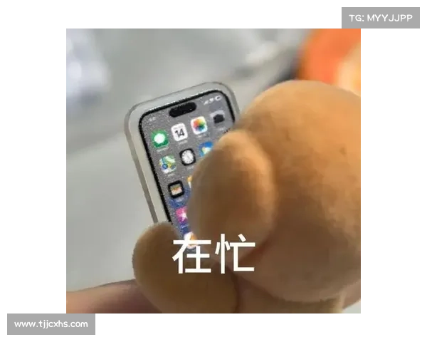 打造专属森贝儿11-11表情包的创意指南与制作技巧分享